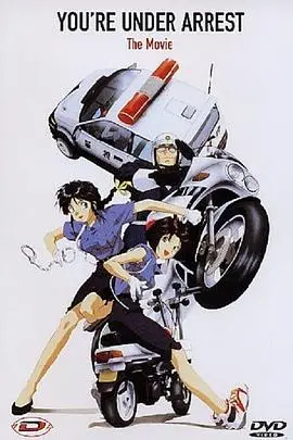 《逮捕令》：铁血警匪，正义与邪恶的生死较量