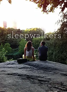 《梦游者》影评：一场亦真亦幻的梦境之旅，解开潜意识深处的谜团！