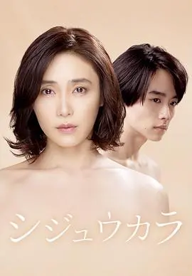 《四十雀》：中年女性的职场逆袭与自我救赎，日剧女王再创辉煌！